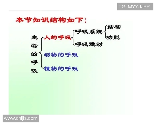 适量运动对提升呼吸系统功能的积极作用及其机制探讨
